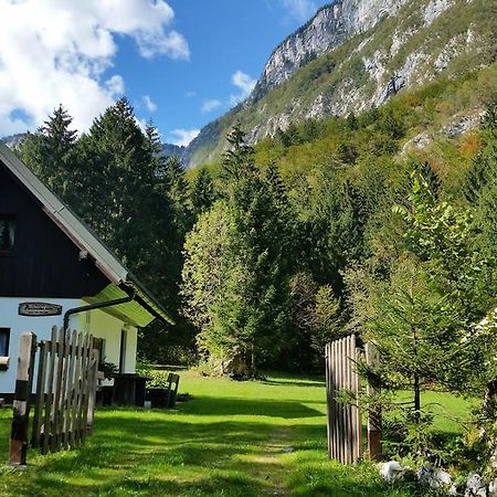 Pocitniska Hisa Ukanc Bohinj Eksteriør billede